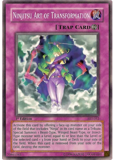 Ninjitsu Art of Transformation