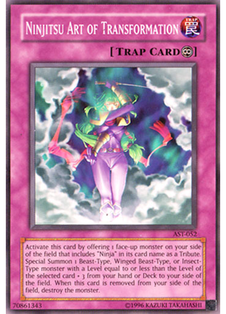 Ninjitsu Art of Transformation (Common Unlimited)