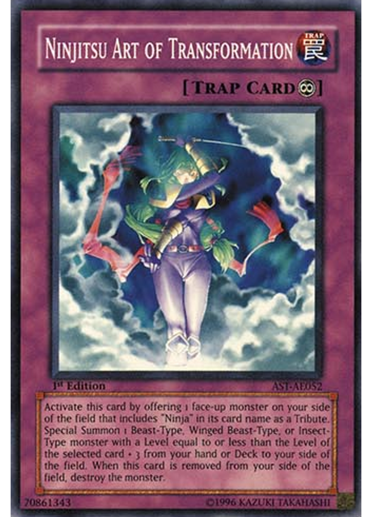 Ninjitsu Art of Transformation