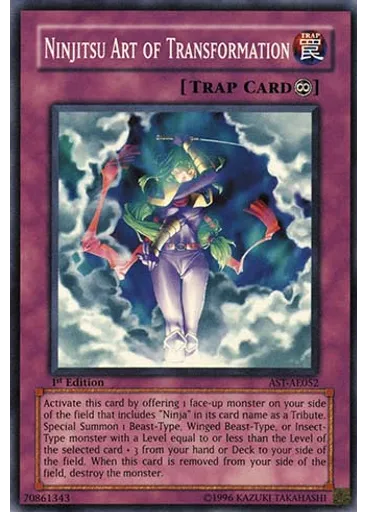 Ninjitsu Art of Transformation