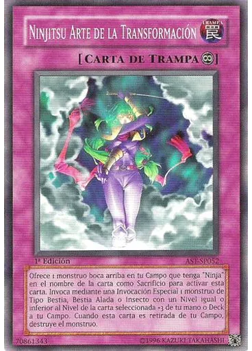 Ninjitsu Arte de la Transformación