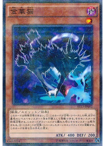 金華猫