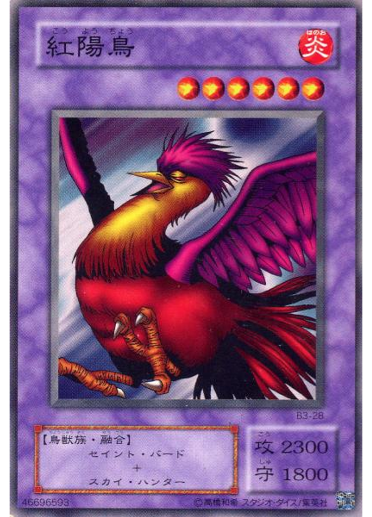 紅陽鳥