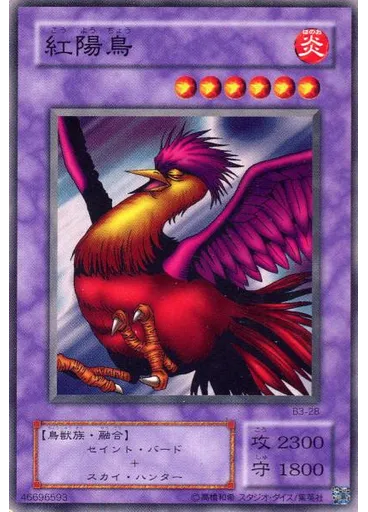 紅陽鳥