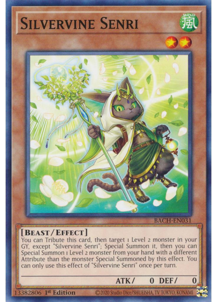 Silvervine Senri