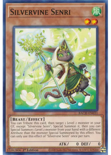 Silvervine Senri