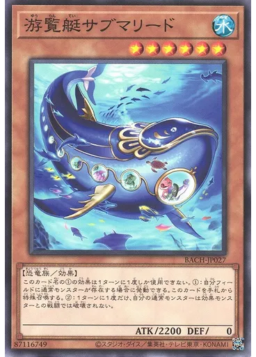 游覧艇サブマリード