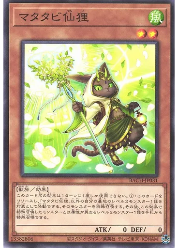 マタタビ仙狸