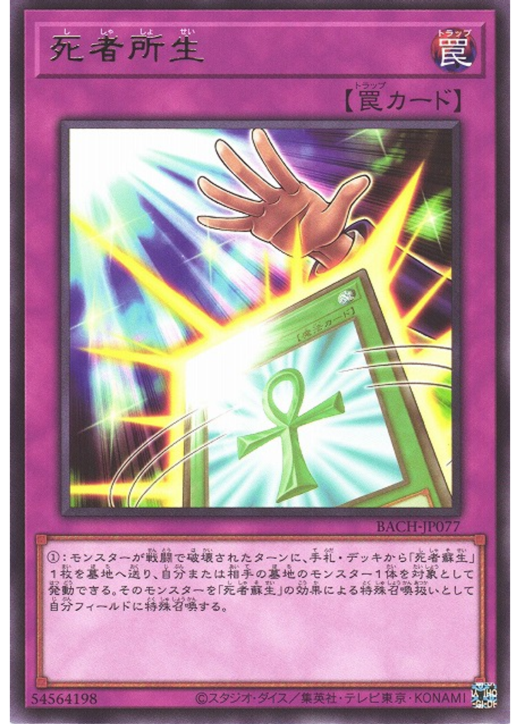 死者所生