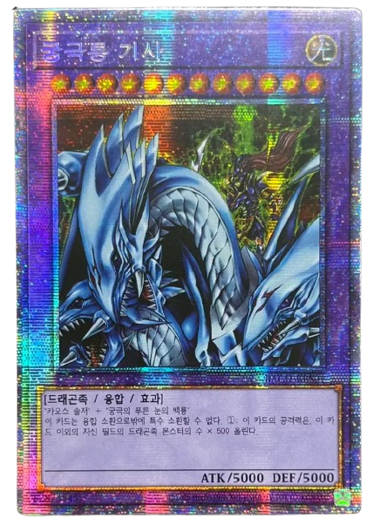 궁극룡 기사