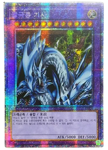 궁극룡 기사