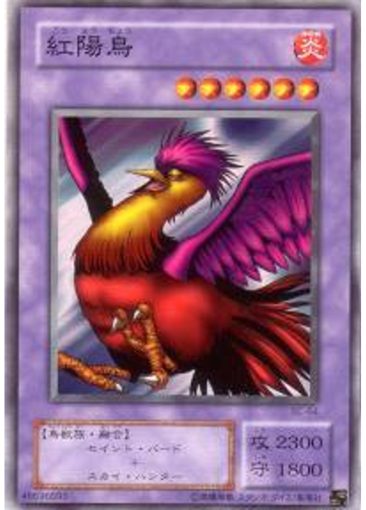 紅陽鳥