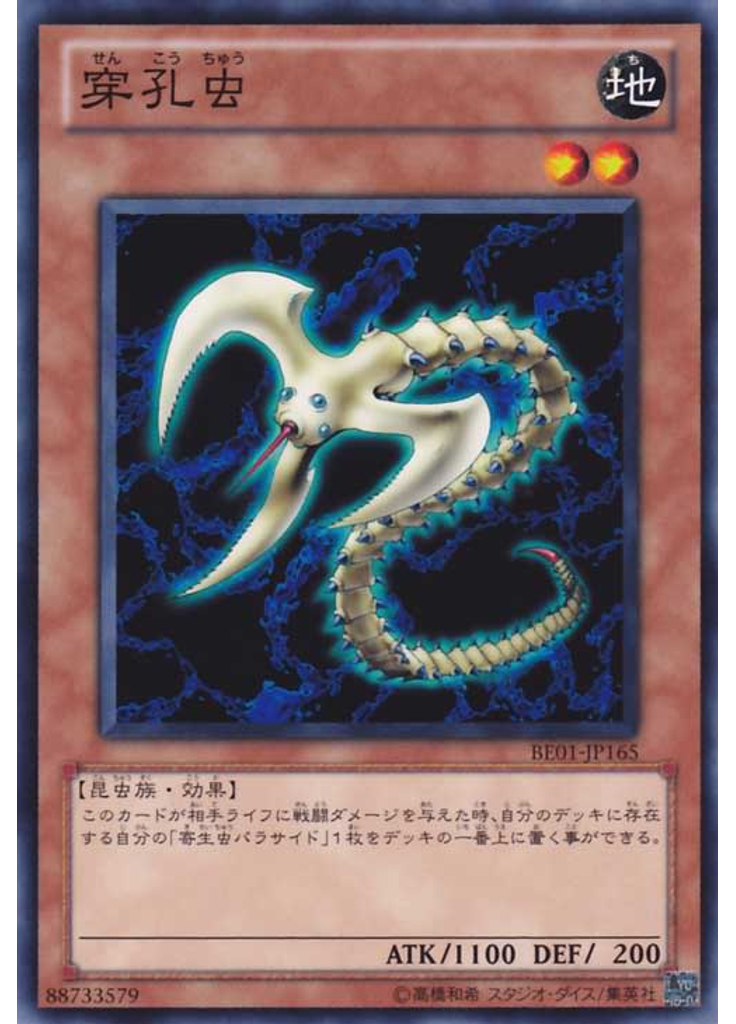 穿孔虫