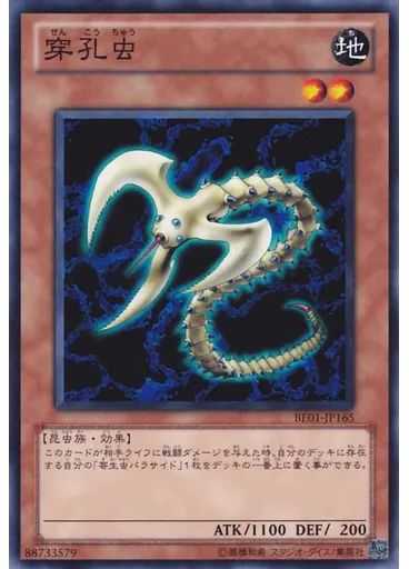 穿孔虫