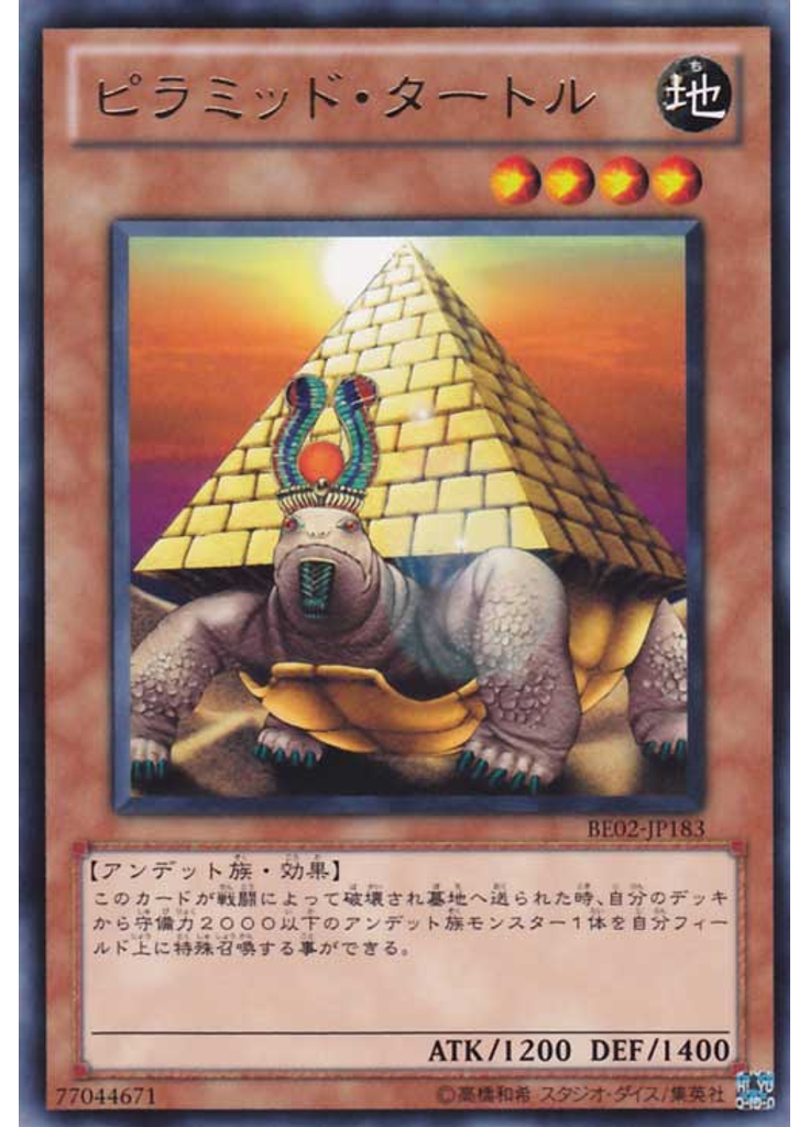 ピラミッド・タートル