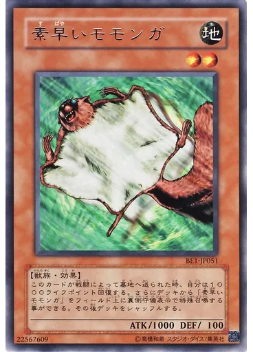 素早いモモンガ