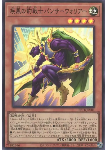 疾風の豹戦士パンサーウォリアー