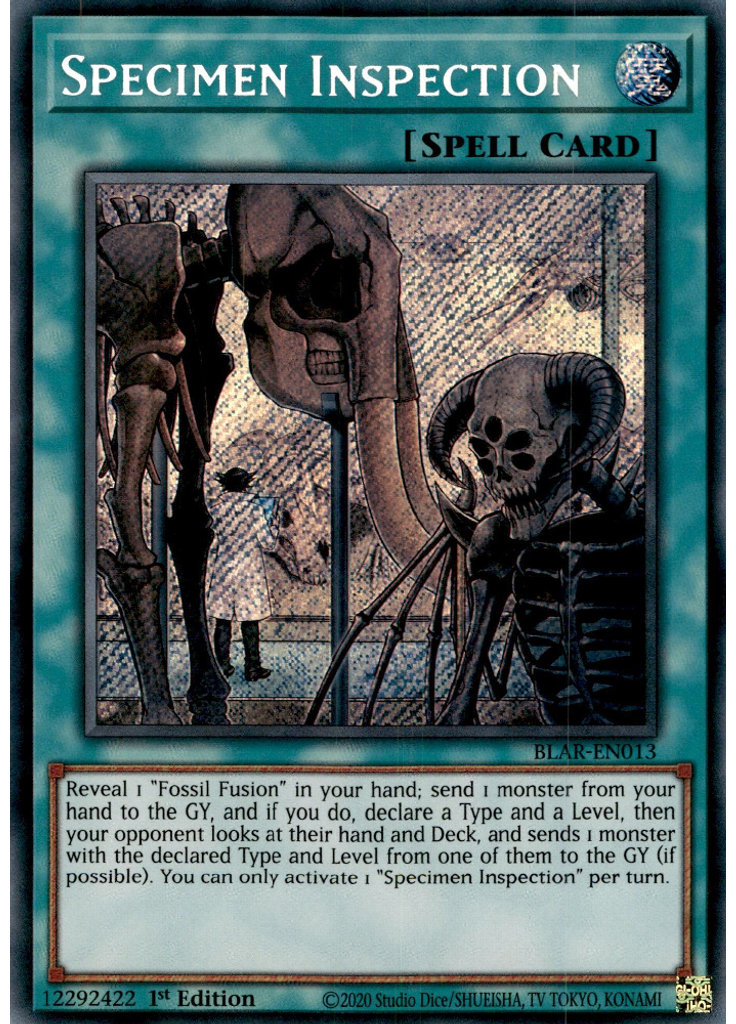 Specimen Inspection