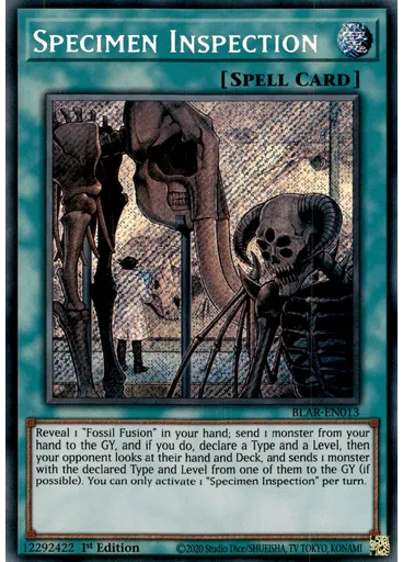 Specimen Inspection