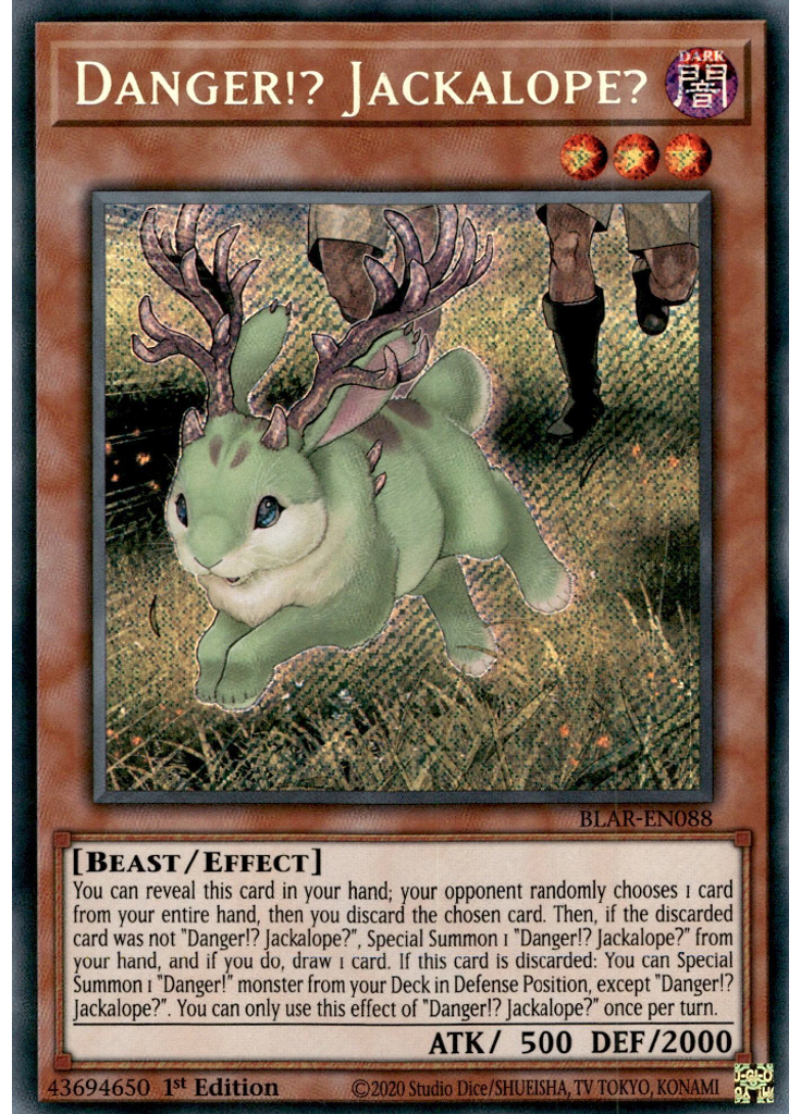 Danger!? Jackalope?