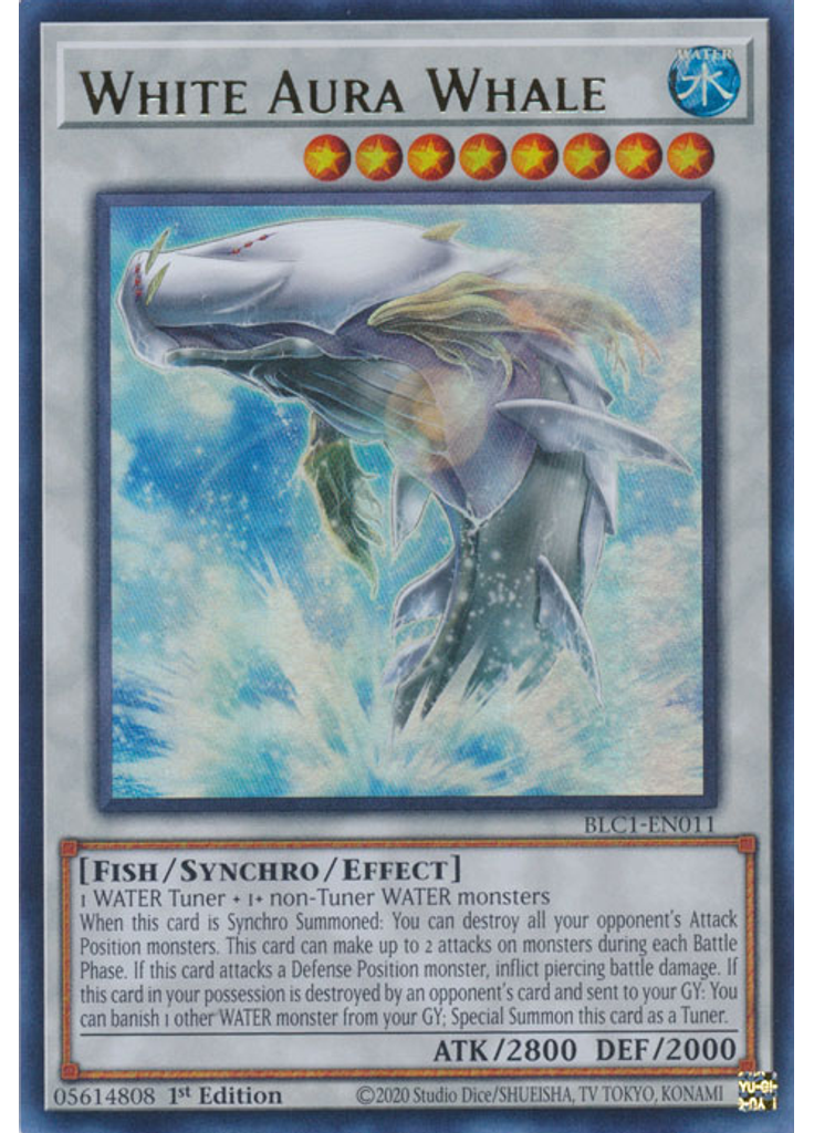 White Aura Whale