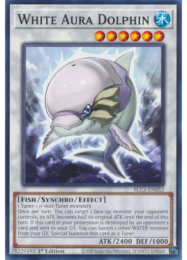 White Aura Dolphin