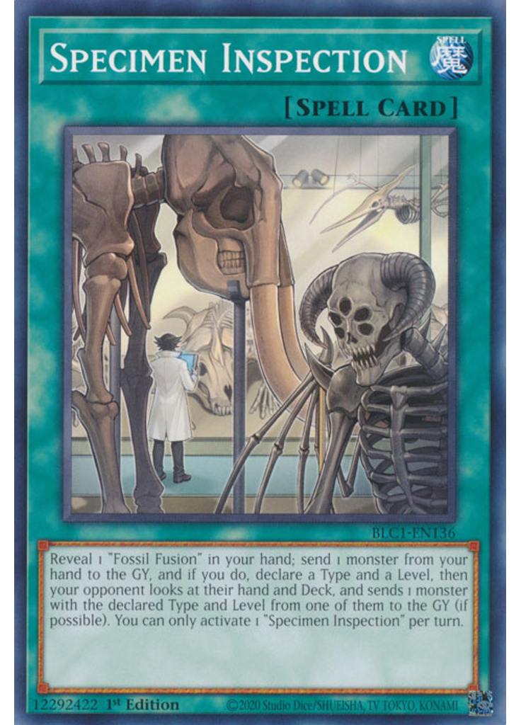 Specimen Inspection