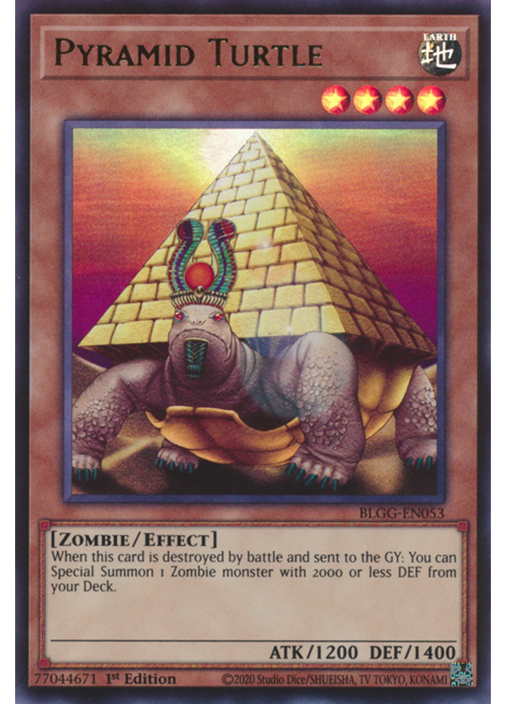 Pyramid Turtle