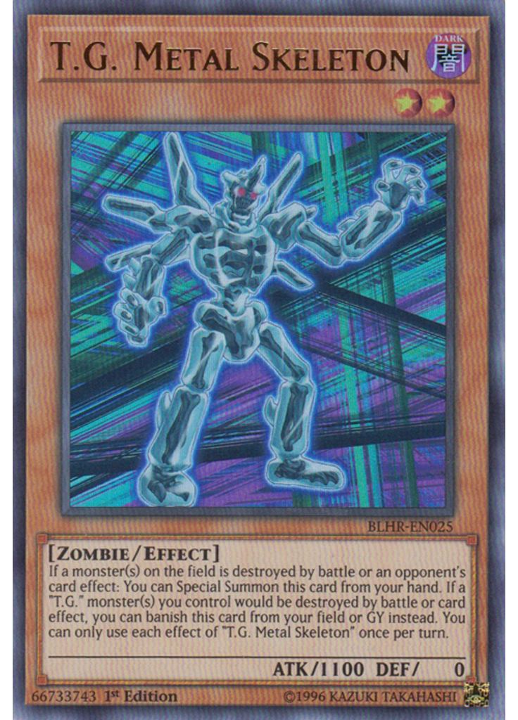 T.G. Metal Skeleton