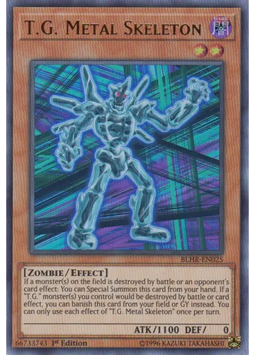 T.G. Metal Skeleton