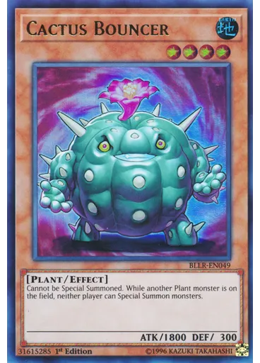 Cactus Bouncer