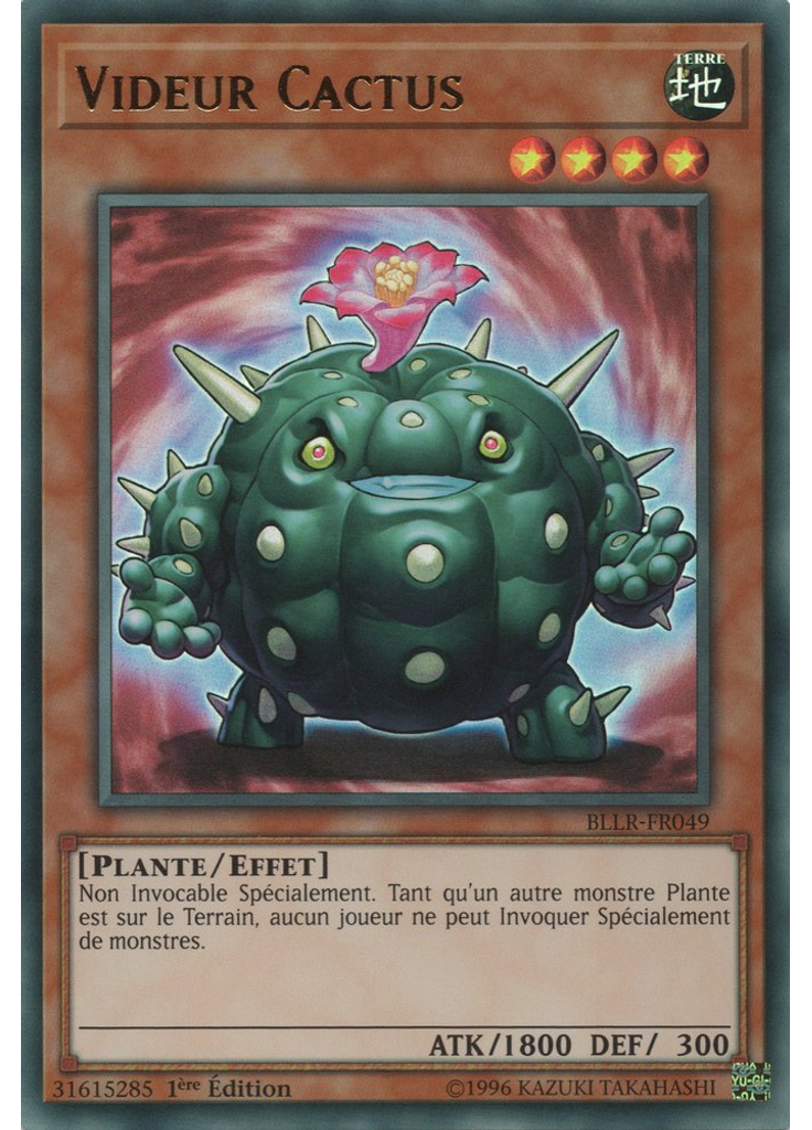 Videur Cactus