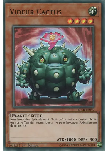 Videur Cactus
