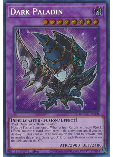 Dark Paladin