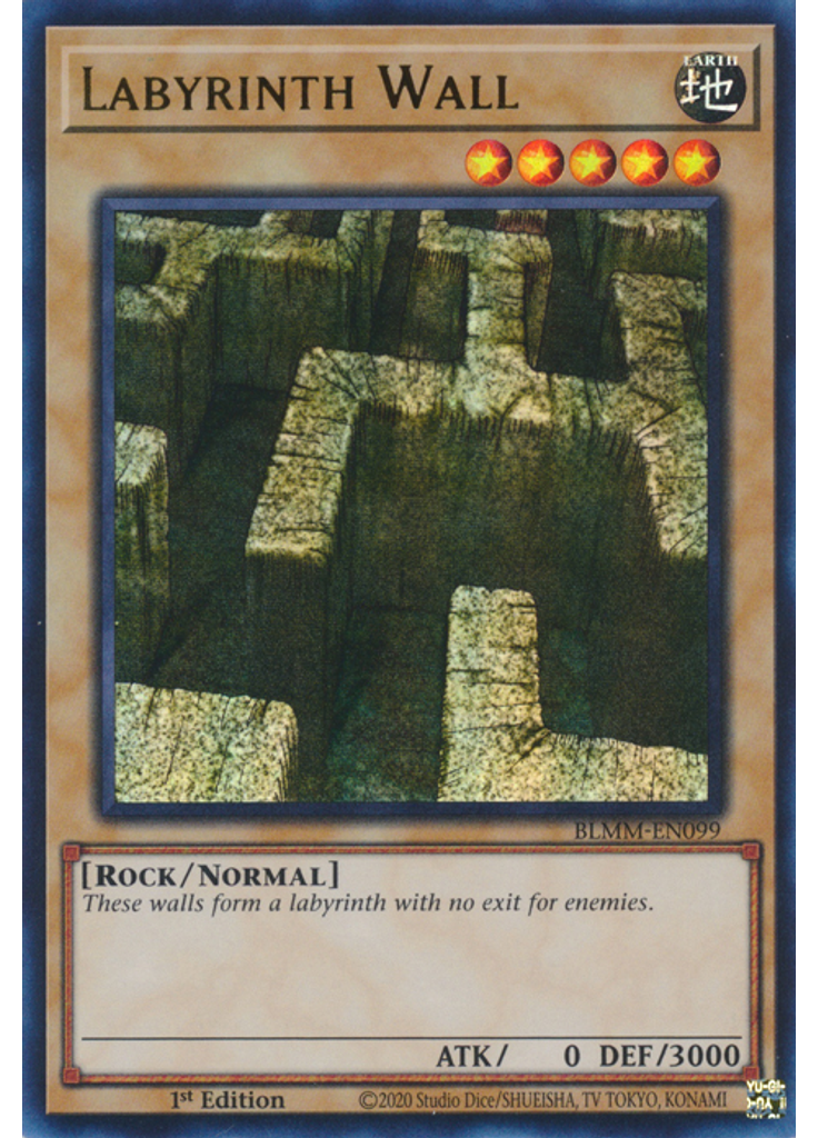 Labyrinth Wall
