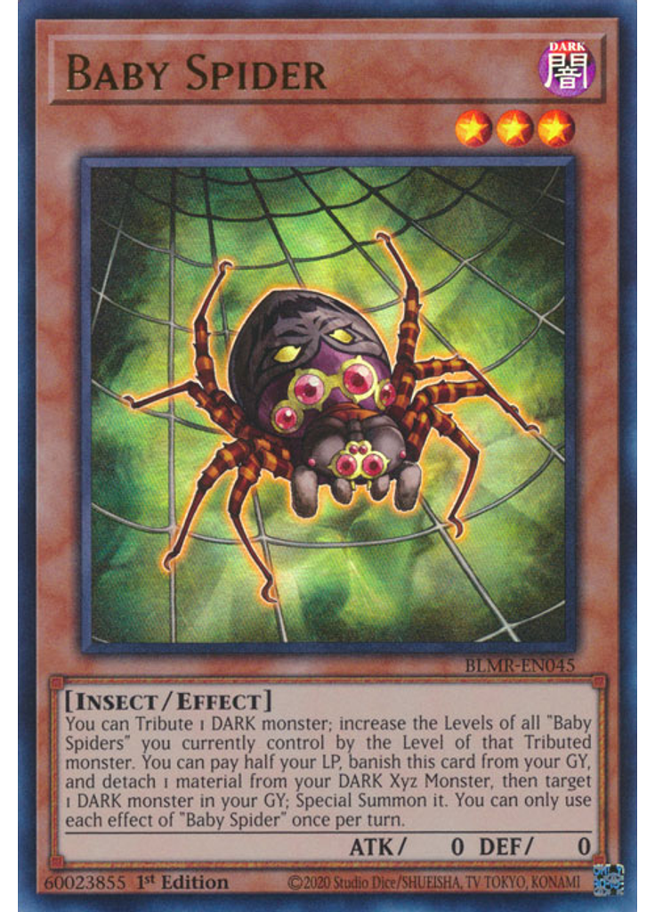 Baby Spider