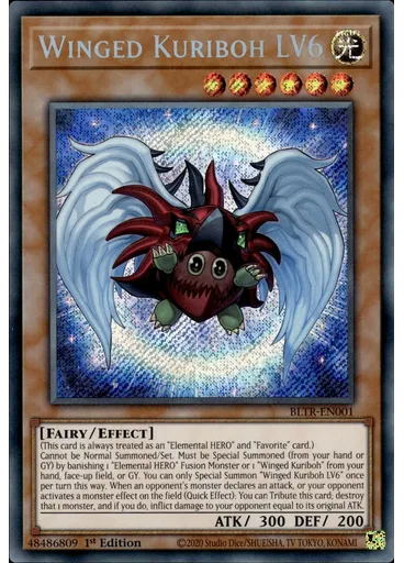 Winged Kuriboh LV6