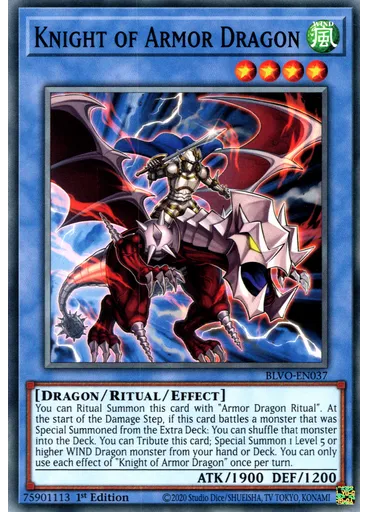 Knight of Armor Dragon