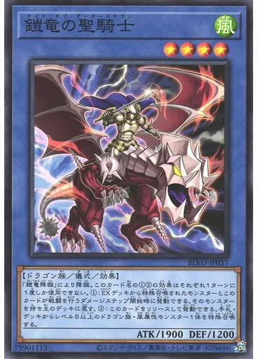 鎧竜の聖騎士