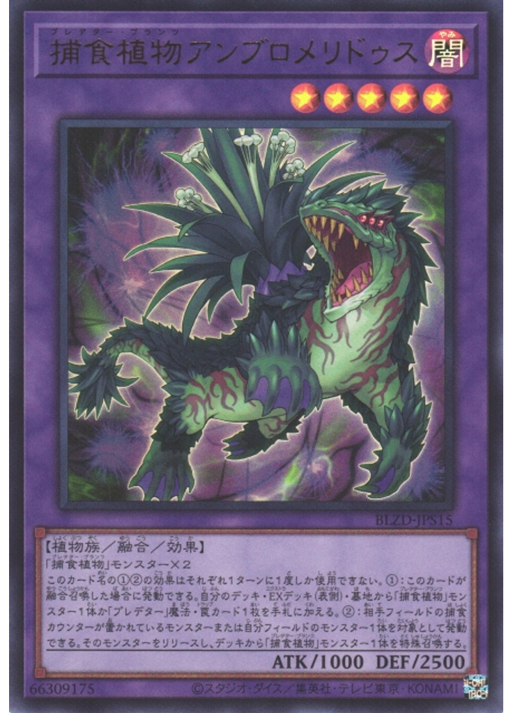 捕食植物アンブロメリドゥス