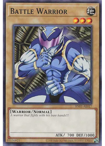 Battle Warrior