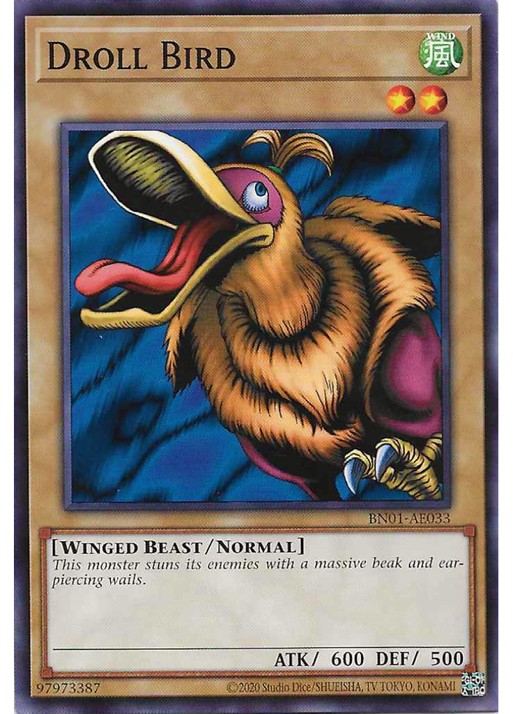 Droll Bird