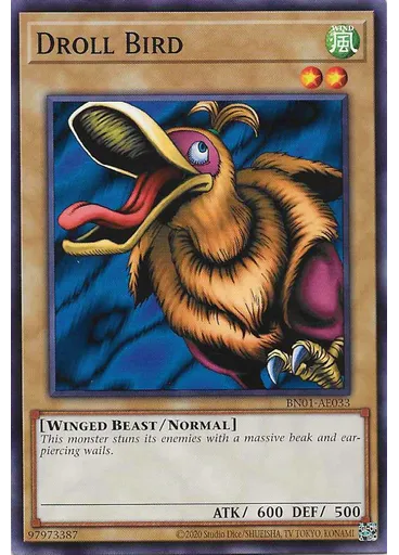 Droll Bird