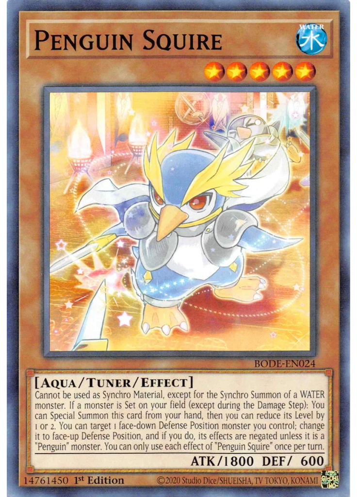Penguin Squire