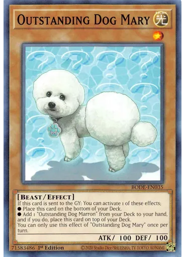 Outstanding Dog Mary