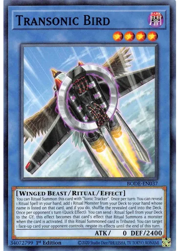 Transonic Bird
