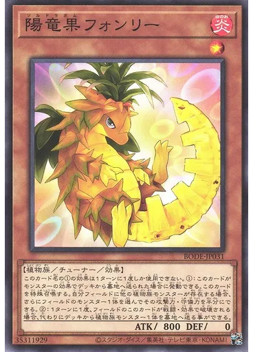 陽竜果フォンリー