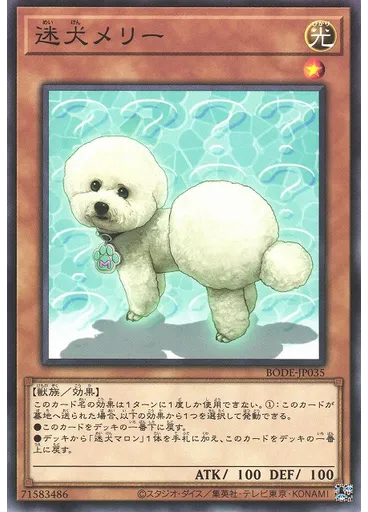迷犬メリー