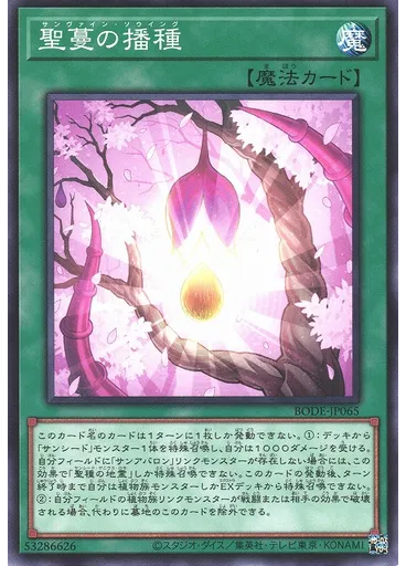 聖蔓の播種