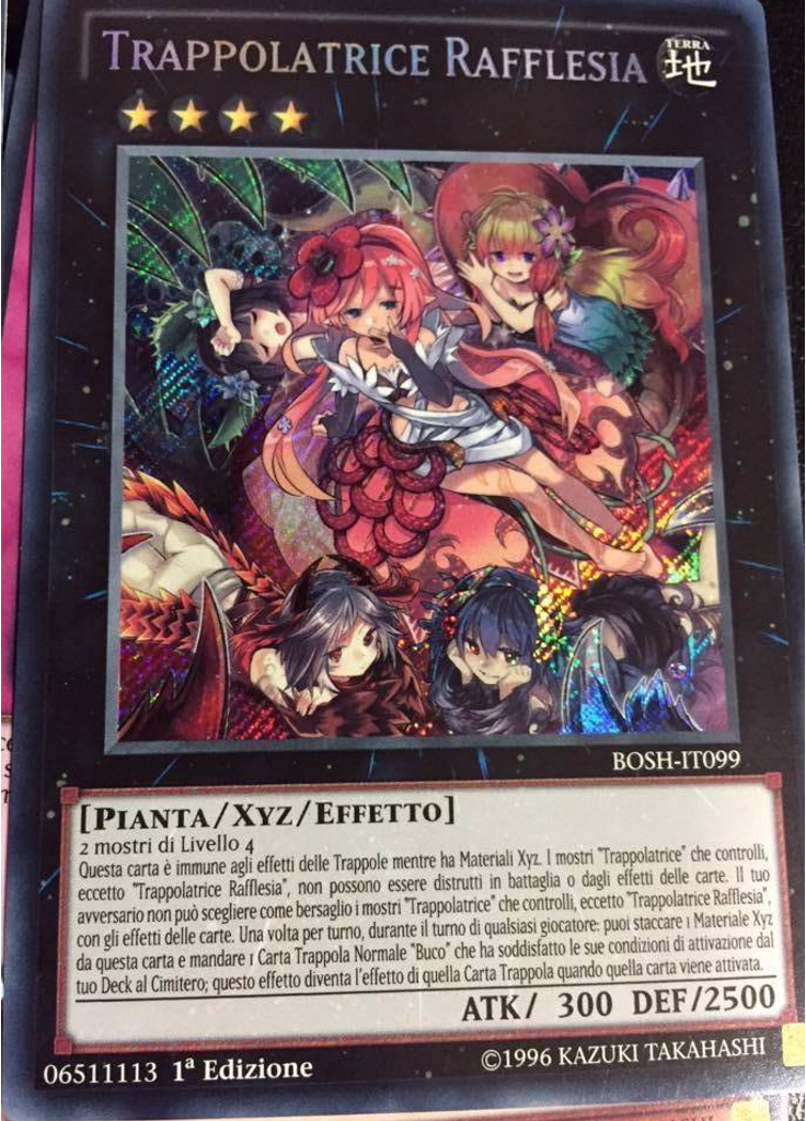Trappolatrice Rafflesia